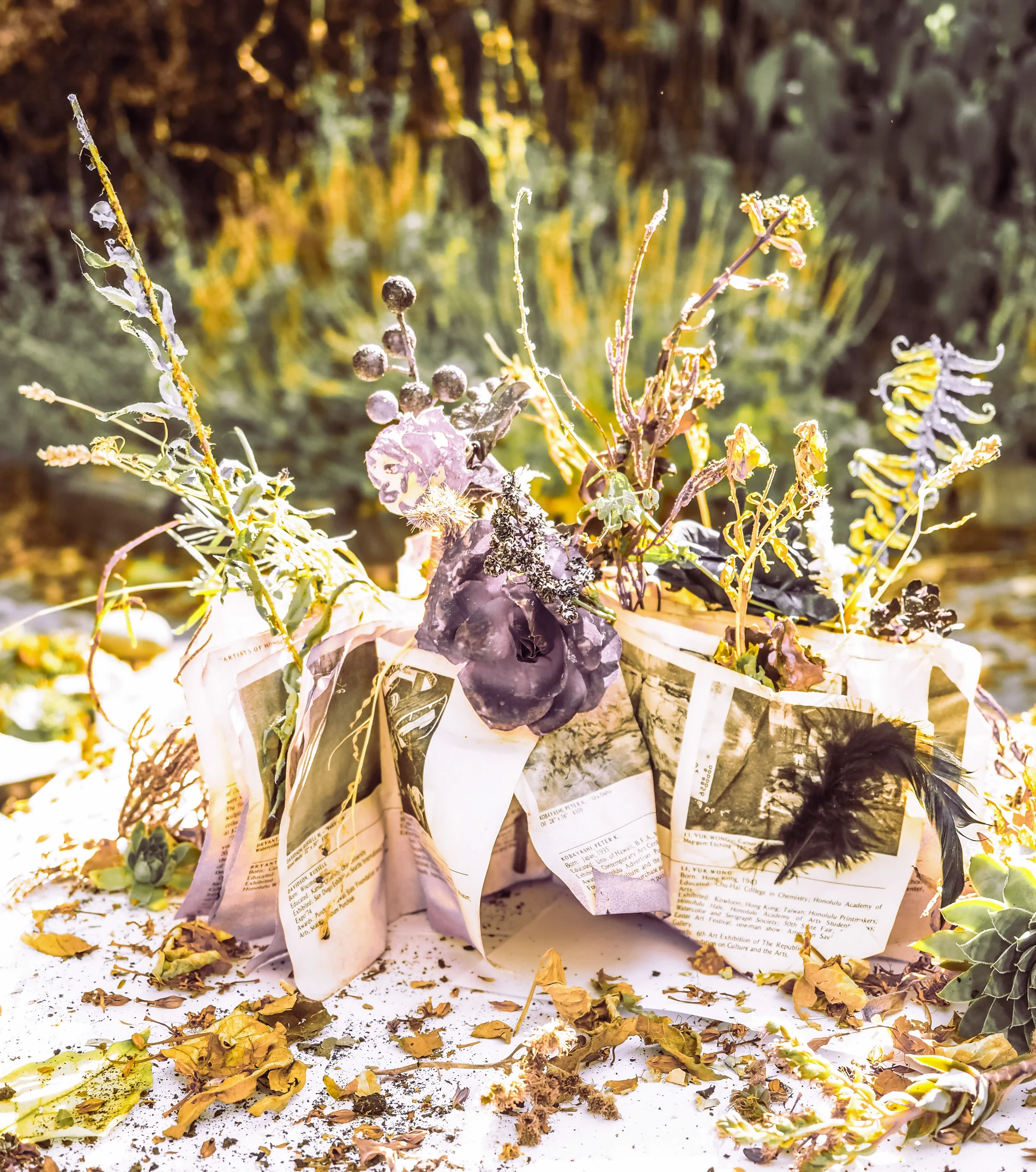 Open book folded into a sculptural bowl and filled with dried flowers and berries in warm sunlight
